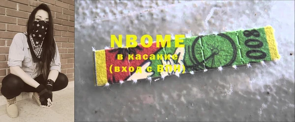 2c-b Бородино